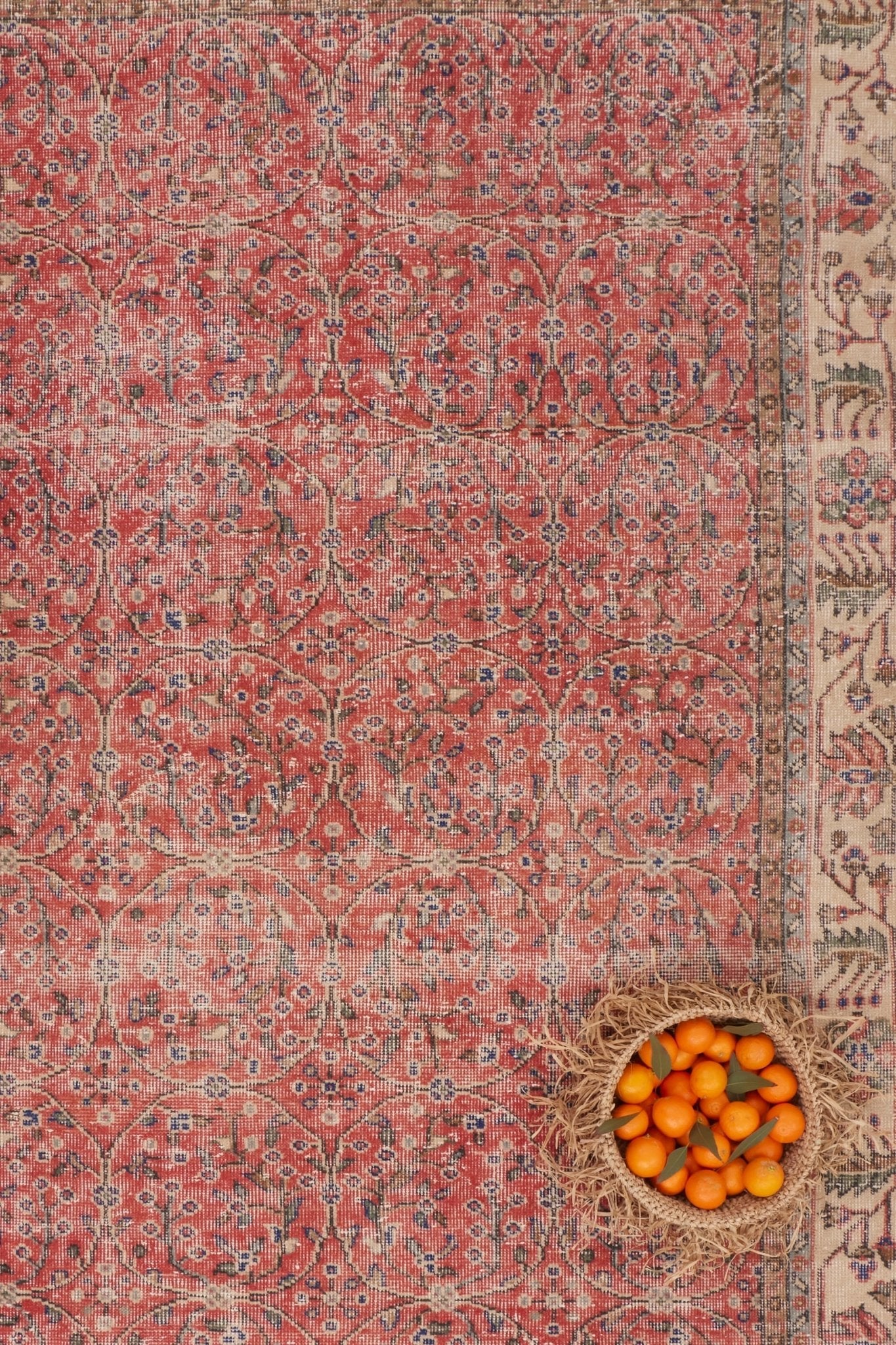 'Adelaide' Vintage Turkish Distressed Area Rug - 5'5'' x 9'1'' - Canary Lane