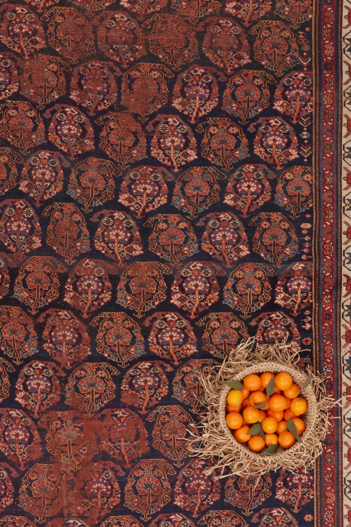 'Fern' Vintage Persian Rug - 5'4" x 10' - Canary Lane