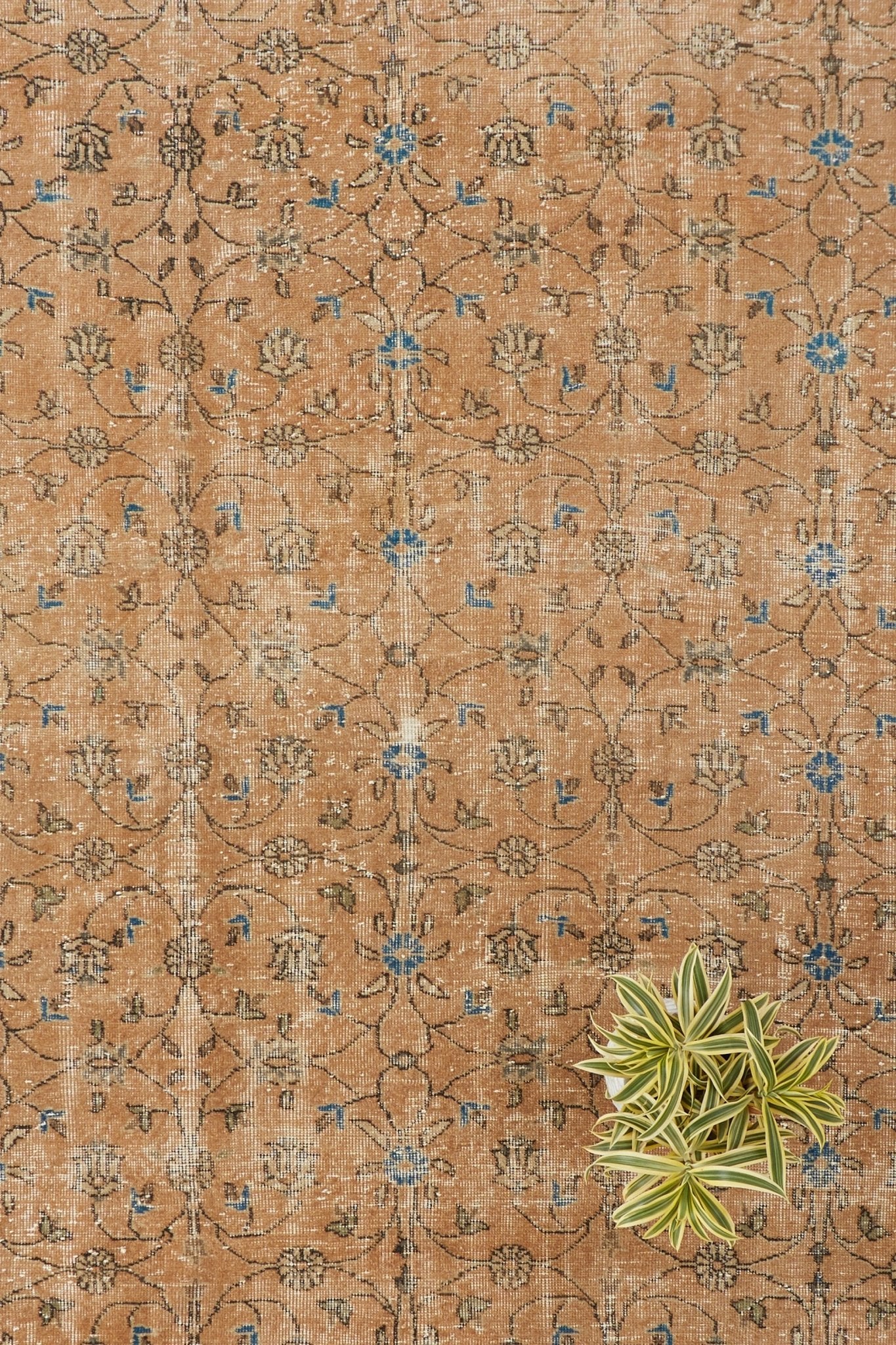 'Marmalade' Turkish Vintage Area Rug - 6’8” x 10’4” - Canary Lane